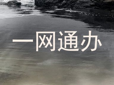一网通办