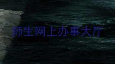 师生网上办事大厅