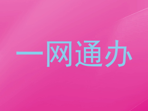 一网通办