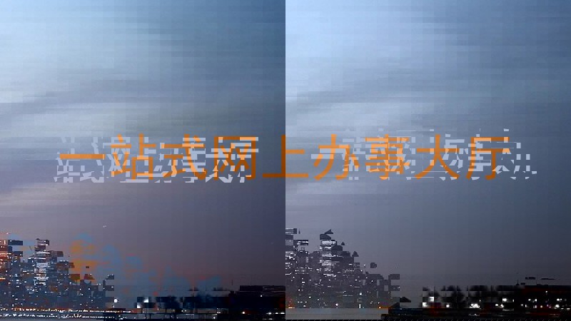 一站式网上办事大厅