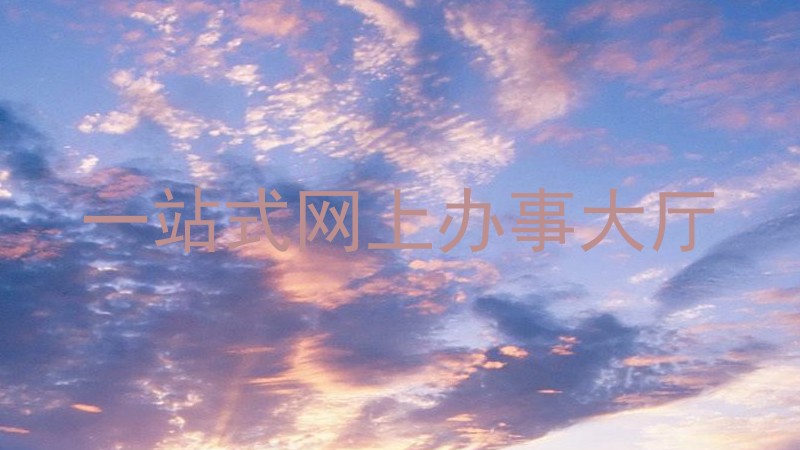 一站式网上办事大厅