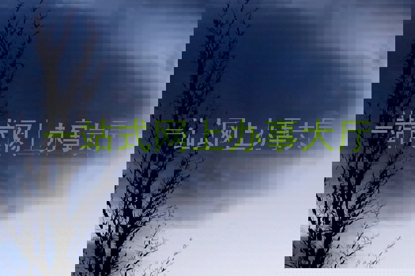 一站式网上办事大厅