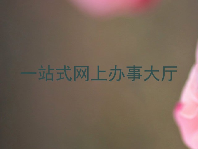 一站式网上办事大厅