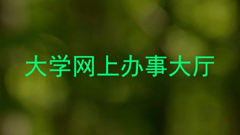 大学网上办事大厅