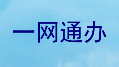 一网通办
