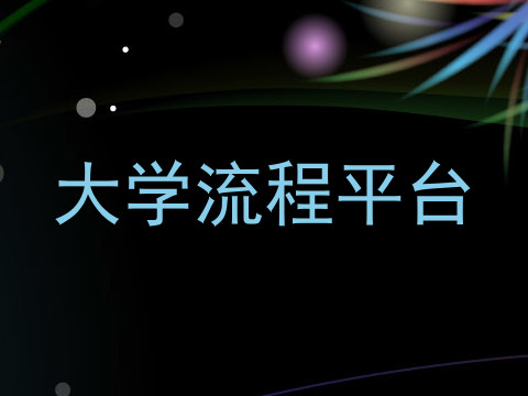 大学流程平台