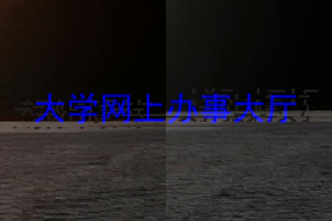 大学网上办事大厅