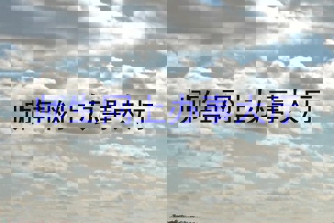 师生网上办事大厅