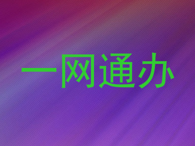 一网通办