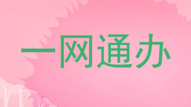 一网通办