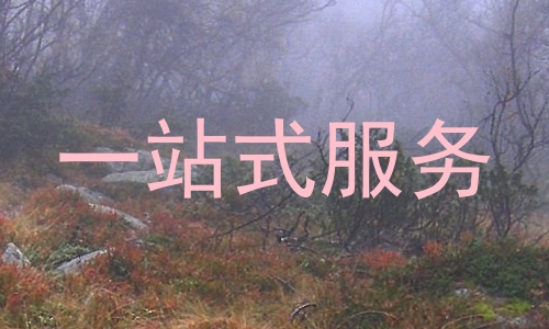 一站式服务