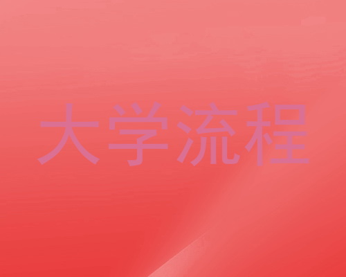 大学流程