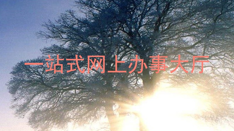 一站式网上办事大厅