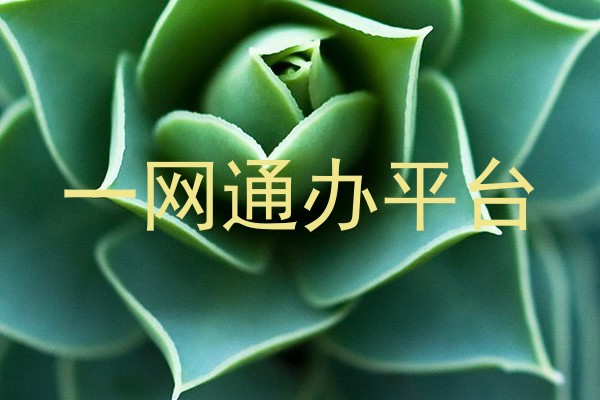 一网通办平台