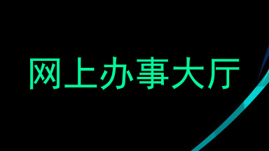 网上办事大厅