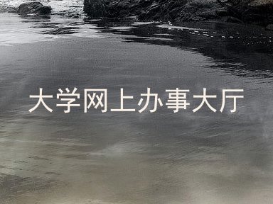 大学网上办事大厅