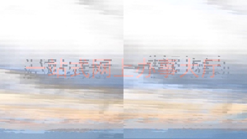 一站式网上办事大厅