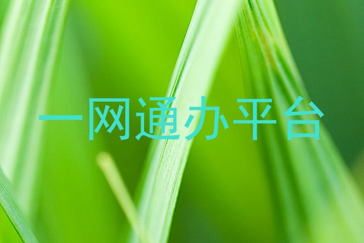 一网通办平台