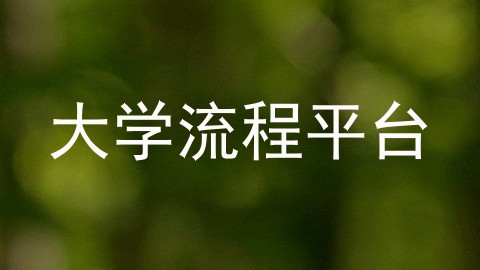 大学流程平台