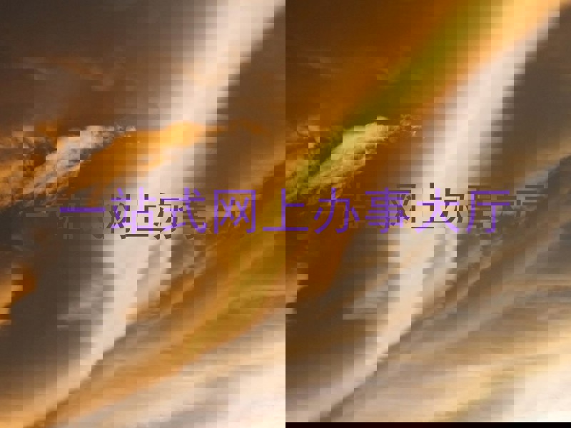 一站式网上办事大厅