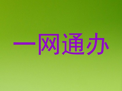 一网通办