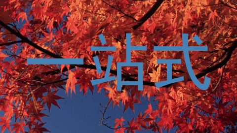 一站式