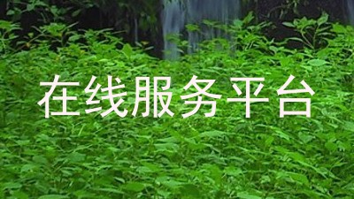 在线服务平台