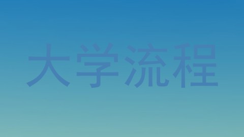大学流程