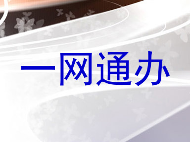 一网通办