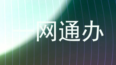 一网通办
