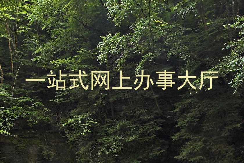 一站式网上办事大厅