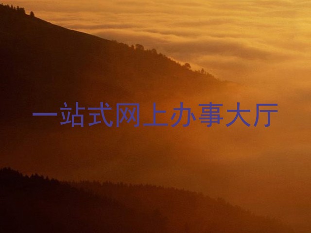 一站式网上办事大厅