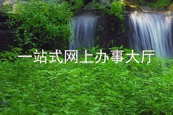 一站式网上办事大厅