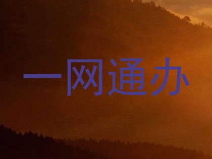一网通办
