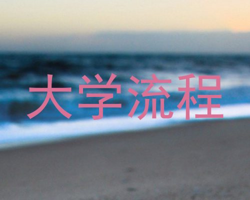 大学流程