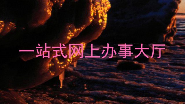 一站式网上办事大厅