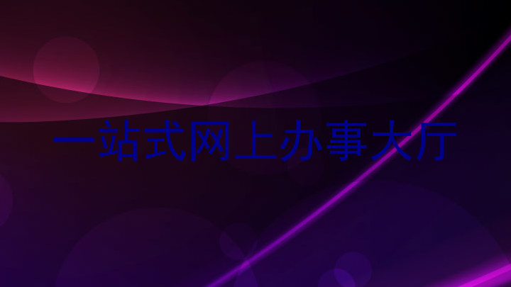 一站式网上办事大厅