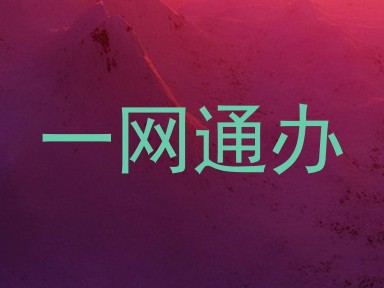 一网通办