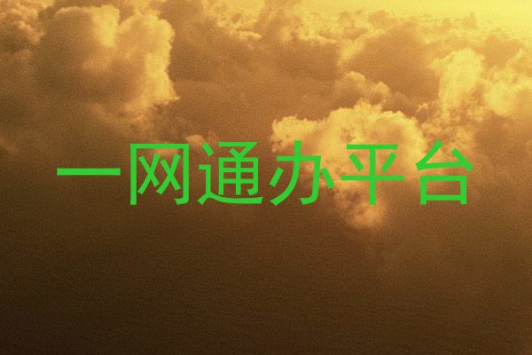 一网通办平台