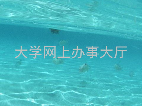 大学网上办事大厅