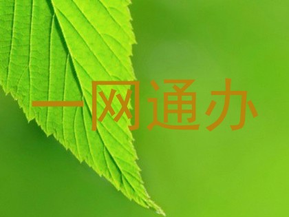 一网通办