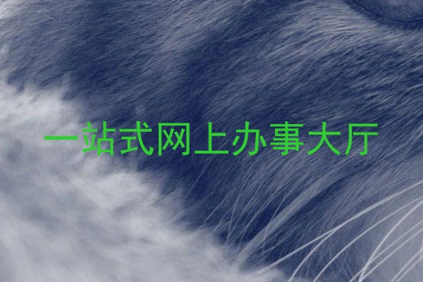 一站式网上办事大厅