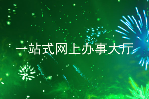 一站式网上办事大厅