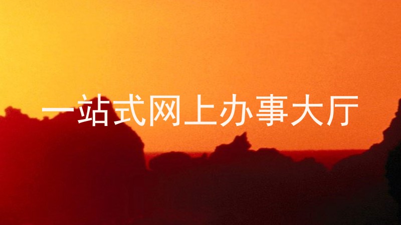 一站式网上办事大厅