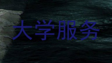 大学服务