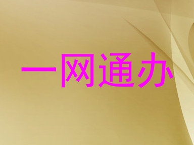 一网通办