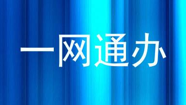 一网通办