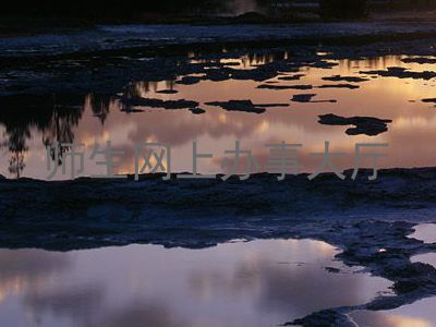 师生网上办事大厅