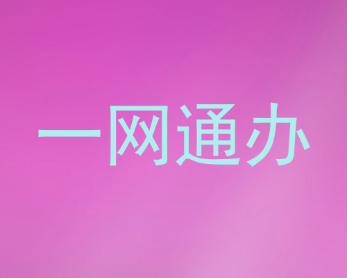 一网通办