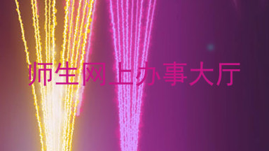 师生网上办事大厅